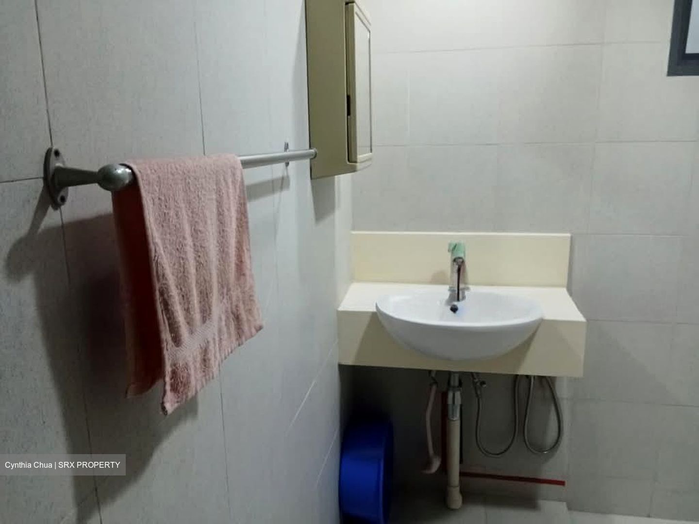 Blk 1 The Pinnacle@Duxton (Bukit Merah), HDB 4 Rooms #551134751